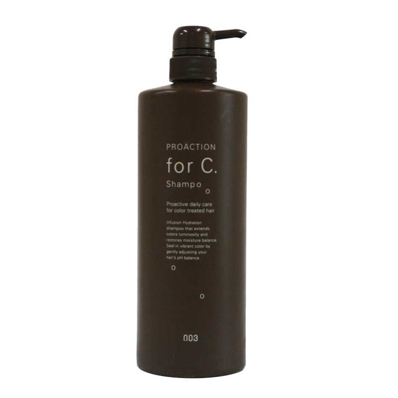 Dark Slate Gray 003 For C Shampoo 1L