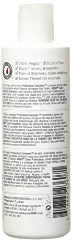 Abba Pure Color Protect Shampoo, 8.45-Ounce Bottle (Pack of 1)