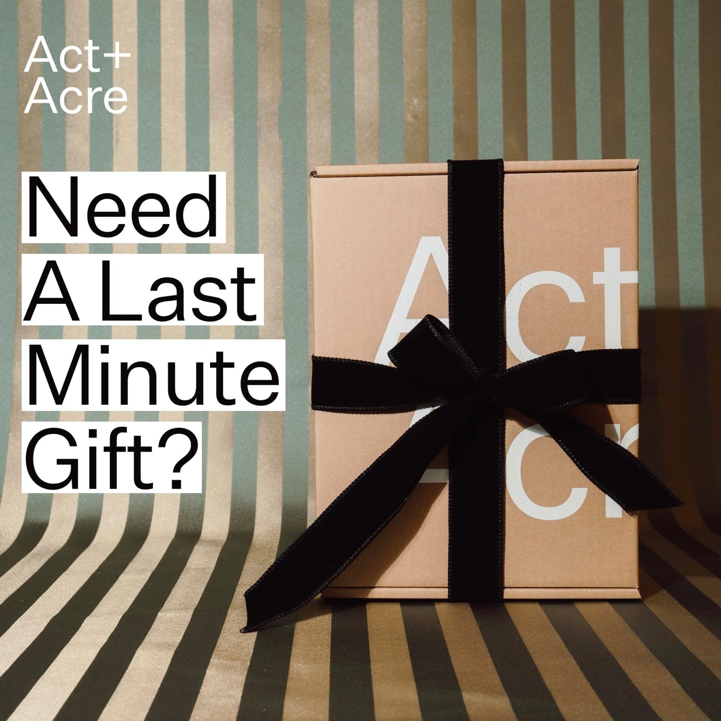 Masque capillaire revitalisant réparateur Act+Acre - Traitement capillaire traité à froid pour hydrater les cheveux secs et abîmés - Masques capillaires hydratants sans silicone (113 ml)