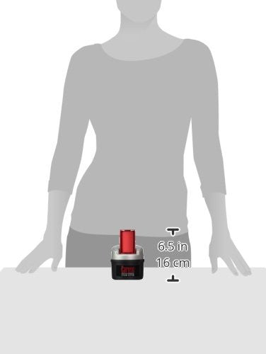 Caruso C97953 30 Molecular Steam Hairsetter with 30 Rollers