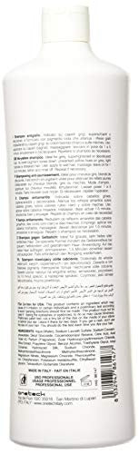 Fanola No Yellow Shampoo, 1000 ml (Pack of 2) ,33.8 Fl Oz,Pack of 2