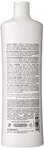 Fanola No Yellow Shampoo Large Bottle, 33.8 Fl Oz