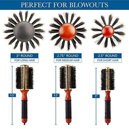 Small Round Blow Dry Brush - Boar Bristle, Thermal Metal Barrel, Professional Anti-Static Roller Hair Brush for Styling and Blow Drying - Bonus Sectioning Pick - 12 Row, 2.5” - By Cantor
