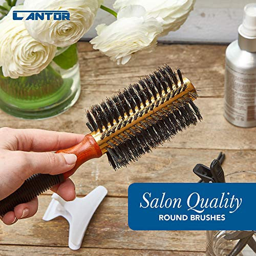 Grande brosse ronde pour brushing – Poils de sanglier, corps en métal thermique, brosse à cheveux professionnelle antistatique pour coiffage et brushing – Choix de section en bonus – 18 rangées, 7,6 cm – Par Cantor