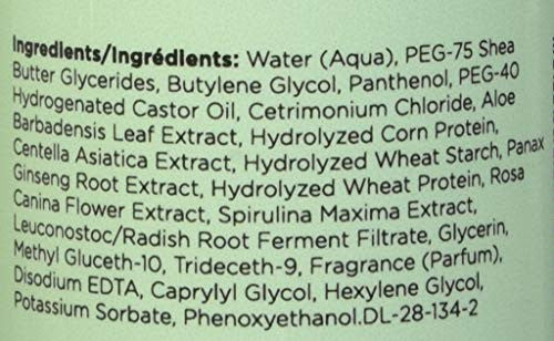 Ouidad Botanical Boost Curl Energizing & Refreshing Spray, 8.5 Fl oz