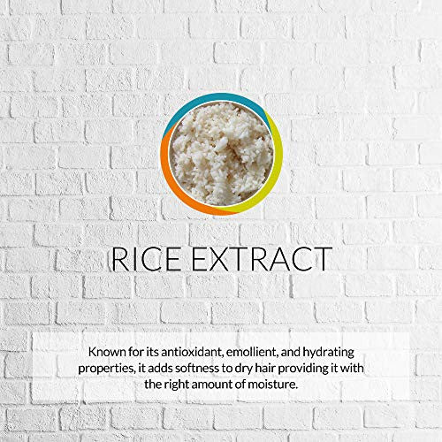 Kaaral Style Perfetto 速效清爽干洗发露 5.28 盎司