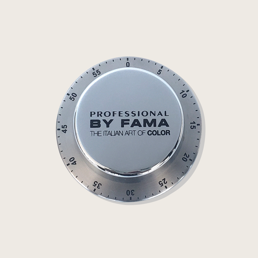 By Fama Magnetic Timer