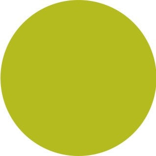 Nobility Nail Lacquer 0.5 fl oz - Sweet Kiwi