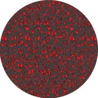 Nobility Nail Lacquer 0.5 fl oz/15ml - Rubies Galore NBNL114