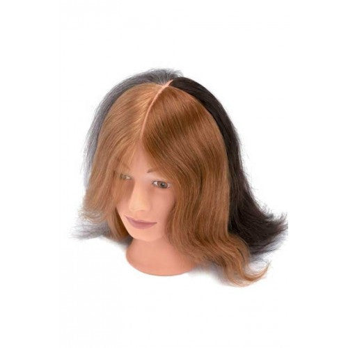 Dannyco 4-Color Mannequin