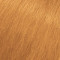 MATRIX COLOR SYNC 8CG MEDIUM BLONDE COPPER GOLD