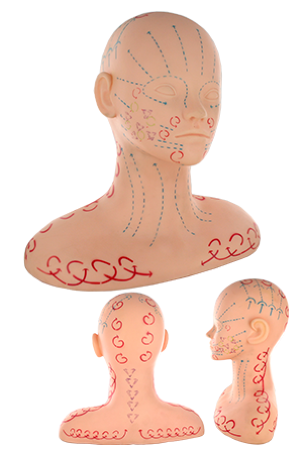 M-2051 Practice Massage Mannequin