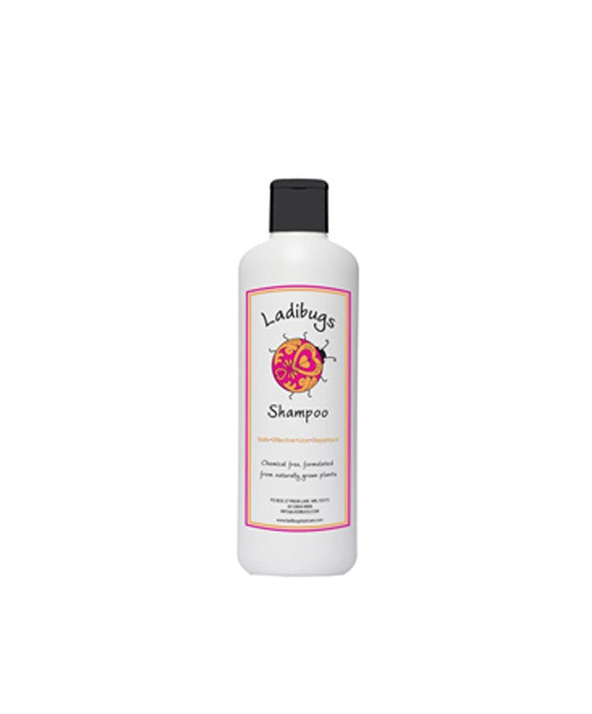 LADIBUGS SHAMPOO 16oz