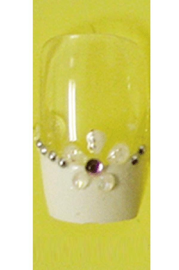 Sassi- 3D Air Brush Design Nail Tip with Glue(TDA002)-Pcs