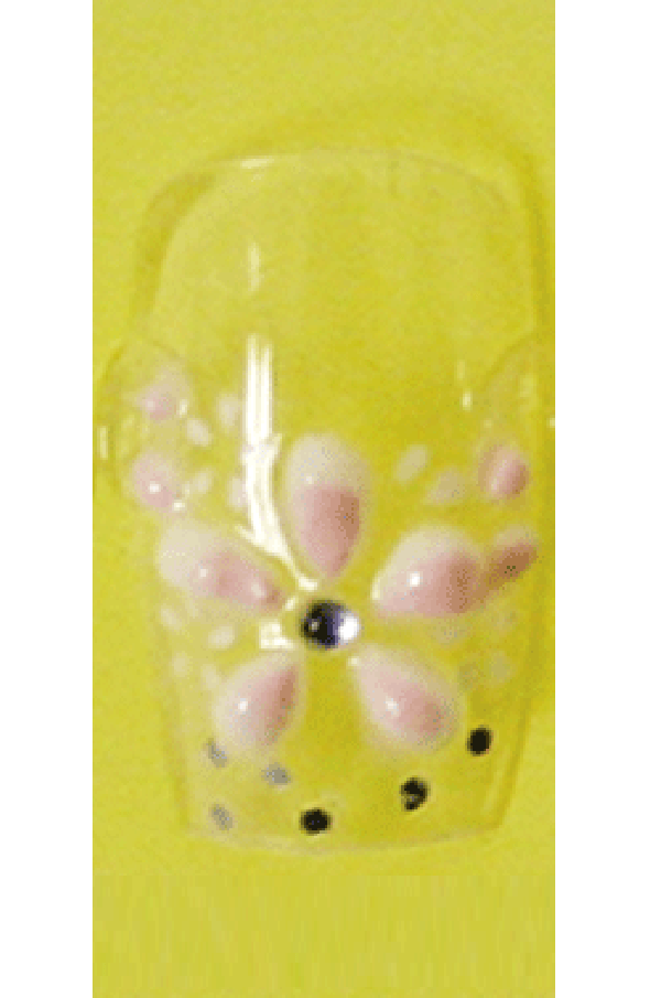 Sassi- 3D Air Brush Design Nail Tip with Glue(TDA004)-Pcs