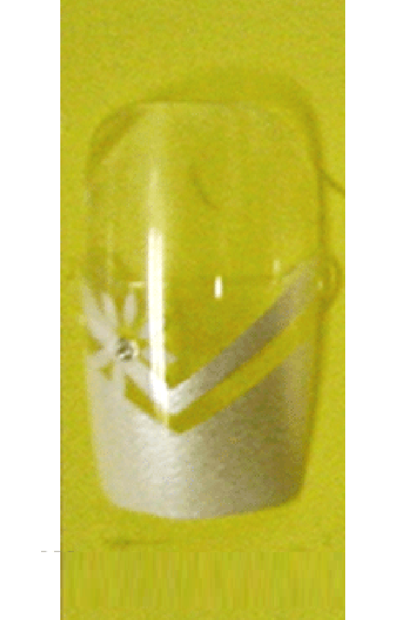 Sassi- Air Brush Design Nail Tip with Glue(FDA002)-Pcs