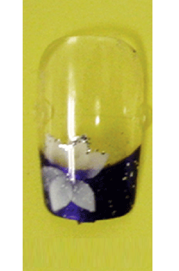 Sassi- Air Brush Design Nail Tip with Glue(FDA004)-Pcs