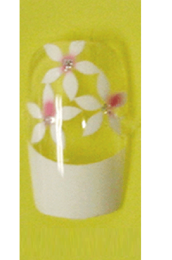 Sassi- Air Brush Design Nail Tip with Glue(FDA005)-Pcs