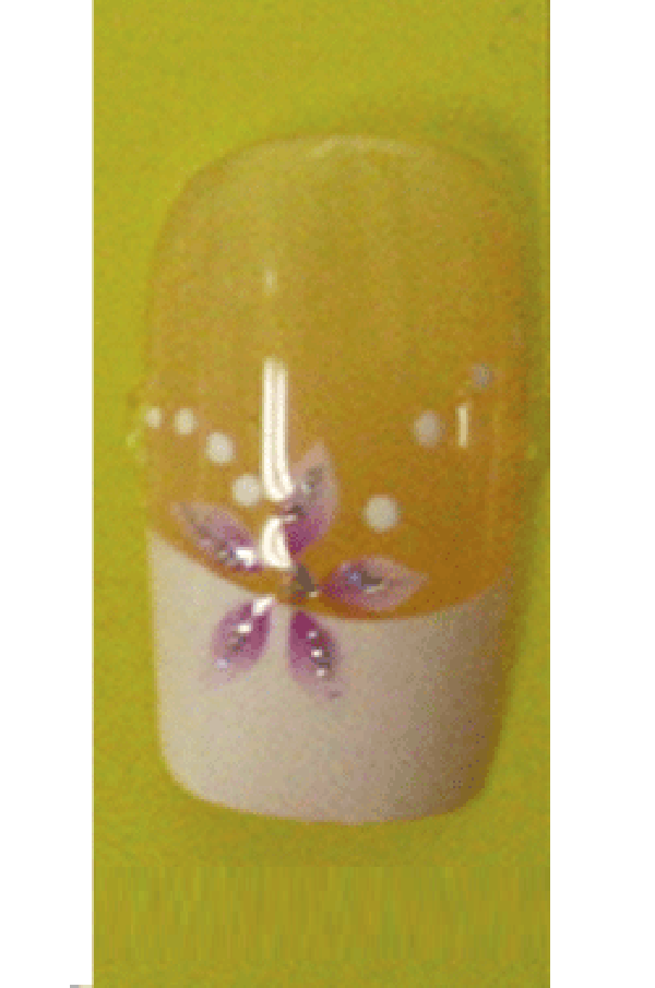 Sassi- Air Brush Design Nail Tip with Glue(FDA011)-Pcs