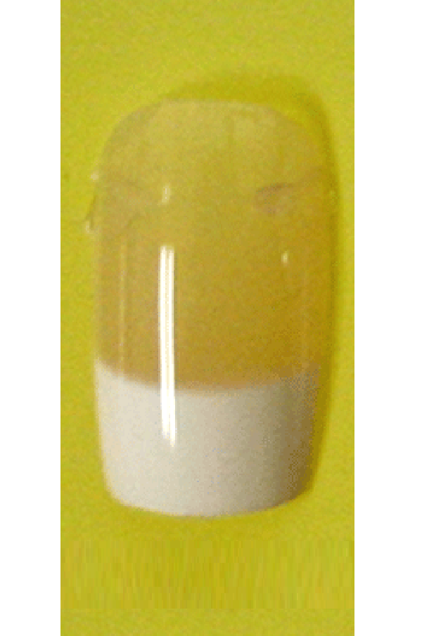 Sassi- French Air Brush Design Nail Tip with Glue(FA003)-Pcs