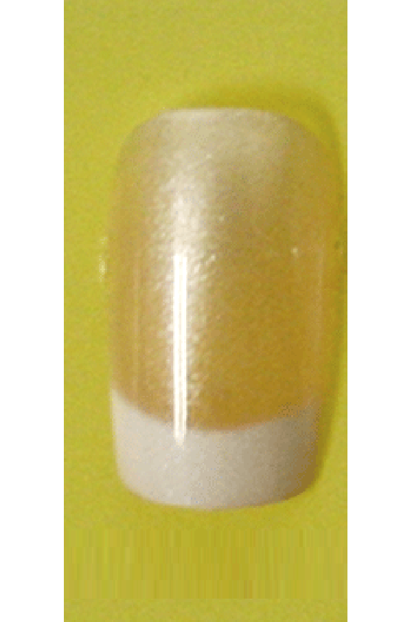 Sassi- French Air Brush Design Nail Tip with Glue(FA004)-Pcs