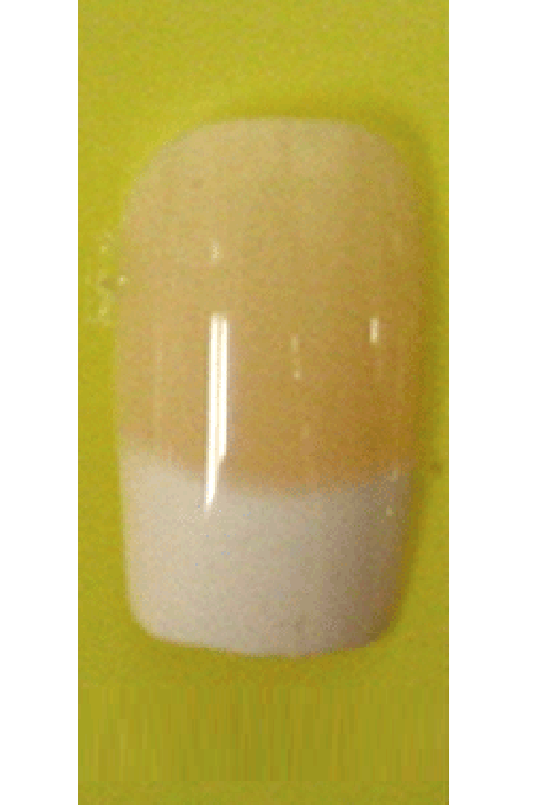 Sassi- French Air Brush Design Nail Tip with Glue(FA010)-Pcs