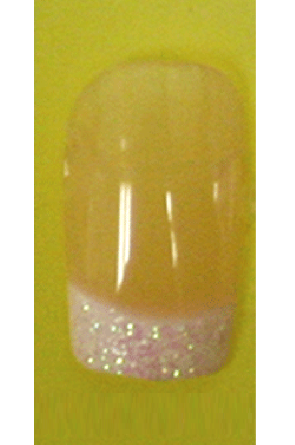 Sassi- French Air Brush Design Nail Tip with Glue(FA011)-Pcs