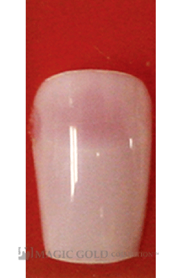 Sassi- Natural Salon Nail Tips with Glue(2329 / 40Pcs)-Pcs