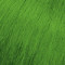 MATRIX Socolor Cult Demi Clover Green