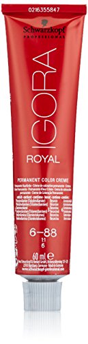 Igora Royal 6-88 Blond fonc rouge extra 60 ML by Schwarzkopf
