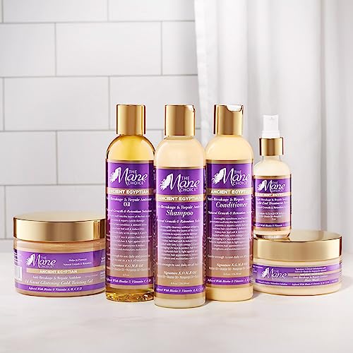 The Mane Choice Masque capillaire anti-casse et réparateur égyptien antique pour cheveux bouclés, ondulés et crépus, 227 g