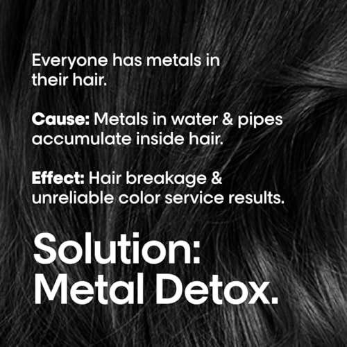 L'Oreal Professionnel Metal Detox Leave-In Hair Oil | Heat Protectant | Detoxifies from Metals & Prolongs Hair Color | Anti-Frizz | Adds Softness and Shine | For Dry, Damaged & Color Treated Hair