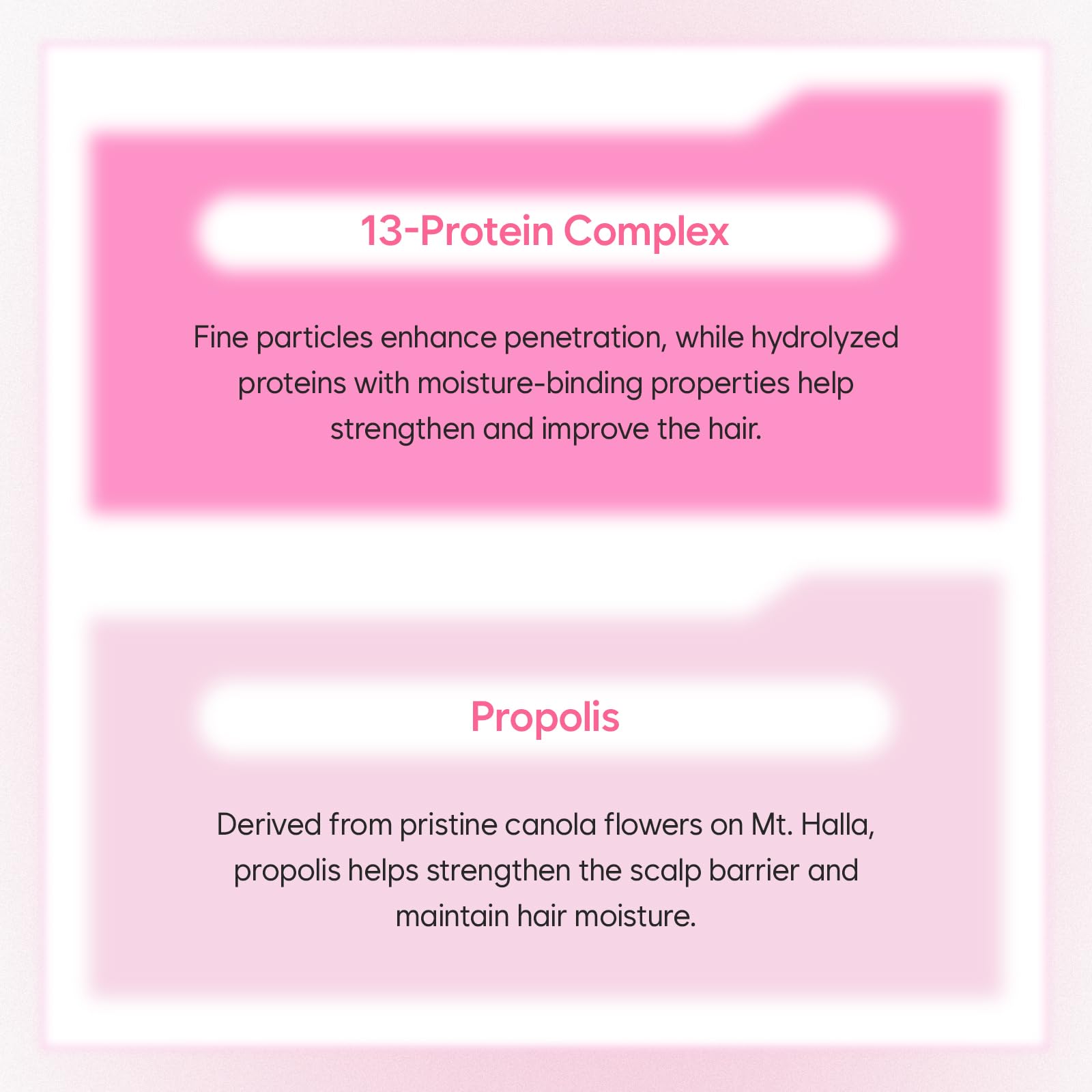 Misty Rose MUEI Repair Ampoule Treatment - Korean Hair care with Self Hair Salon Care for Extremely Damaged Hair - a heat effect | Tangleless hair | probarrier ceramide | Protein | Propolis, 8.11 fl.oz