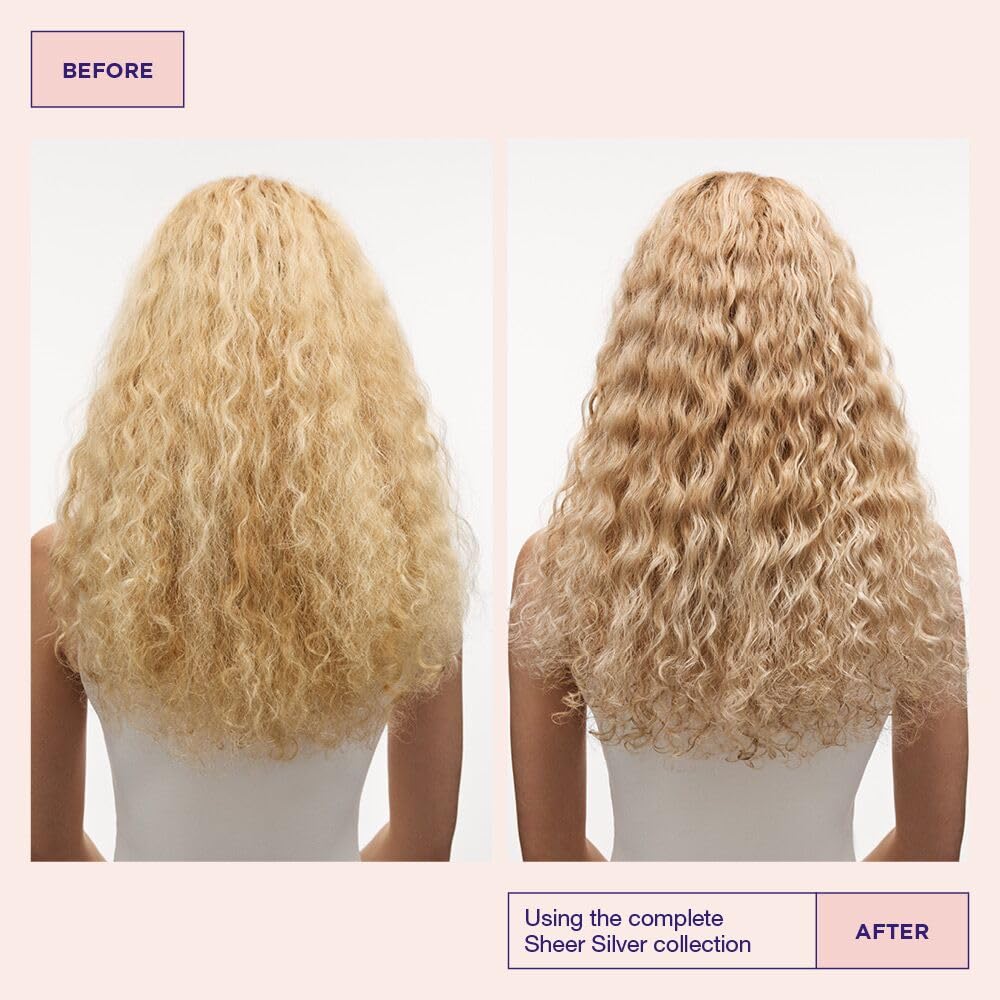 Misty Rose Maria Nila Sheer Silver, Silver/Purple Shampoo, Neutralizes Brassy Yellow/Golden Shades in Blonde, White & Grey Hairs, Violet Pigments Gives Cool Tone, 100% Vegan & Sulfate/Paraben free, 11.8 Fl Oz