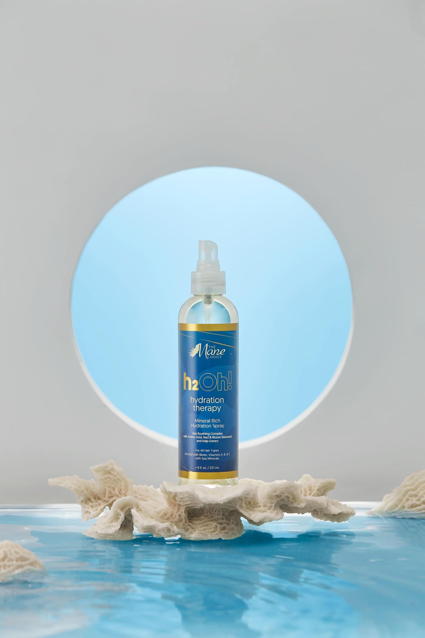 Spray hydratant H2Oh! Hydration Therapy de The Mane Choice, 227 ml