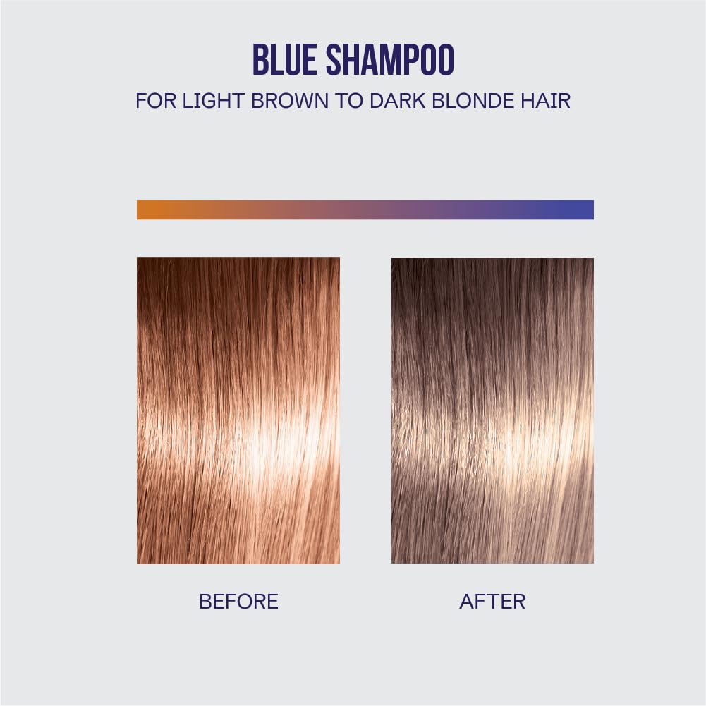 OLIGO PROFESSIONNEL - Blacklight Blue Shampoo - Sulfate-Free Blue Shampoo for Blonde and Color Hair - Revive Treated Hair - Refreshes Faded Highlights - 11 Amino Acids and Moisturizing Formula - 8.5oz