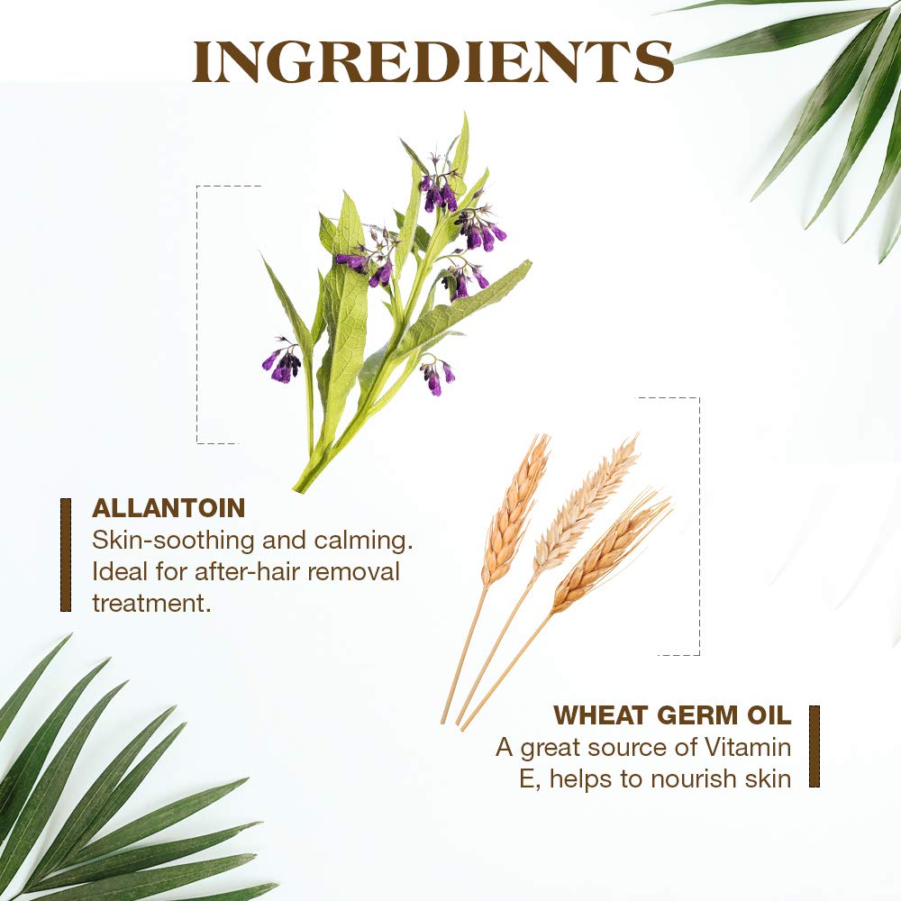 GiGi 身体脱毛蜡纸 - 预涂 GiGi 多功能蜂蜜配方，女士脱毛套装，12 条 + 脱毛后乳液