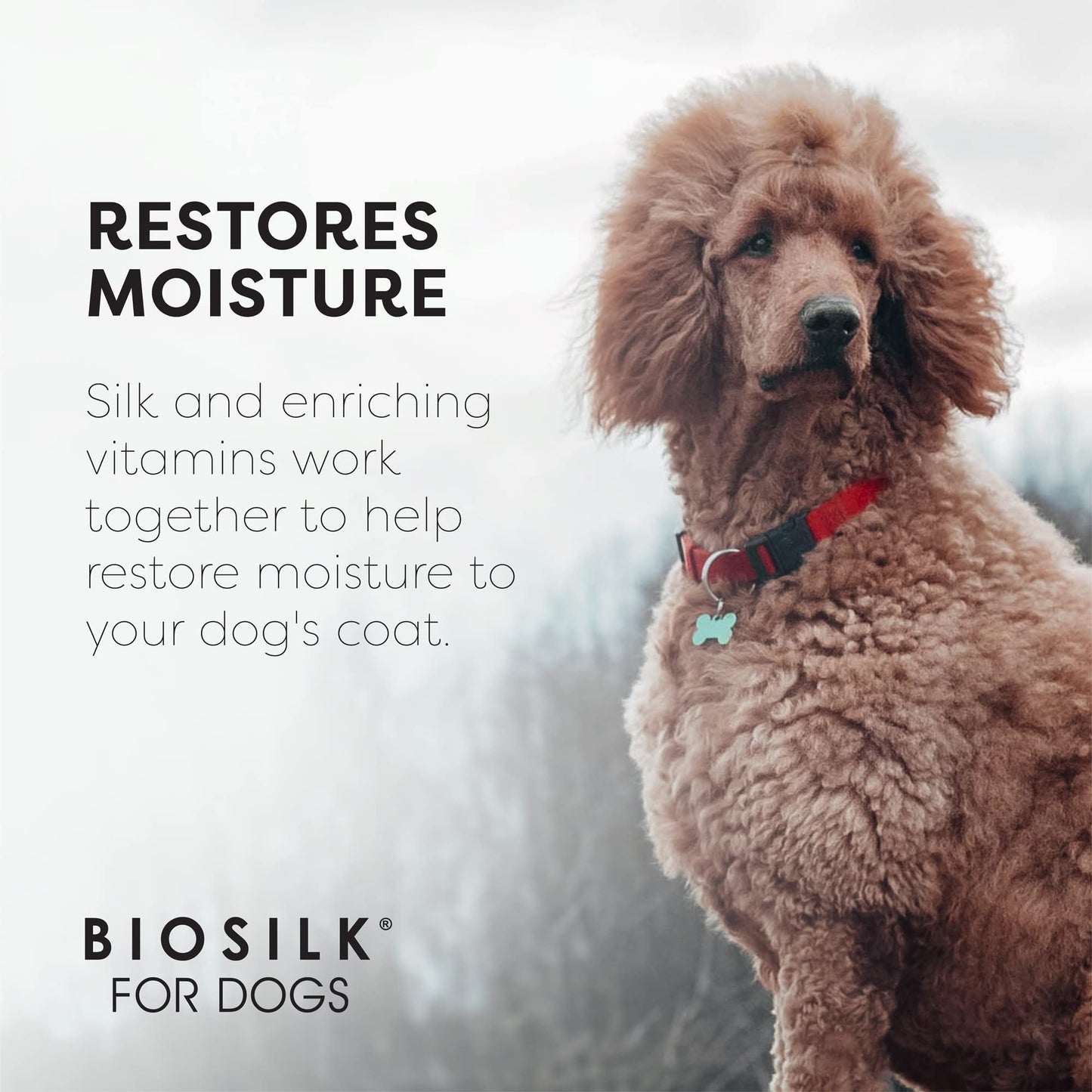 White Smoke BioSilk for Dogs Silk Therapy Conditioner with Natural Coconut Oil | Pet Conditioner - 6 Pack