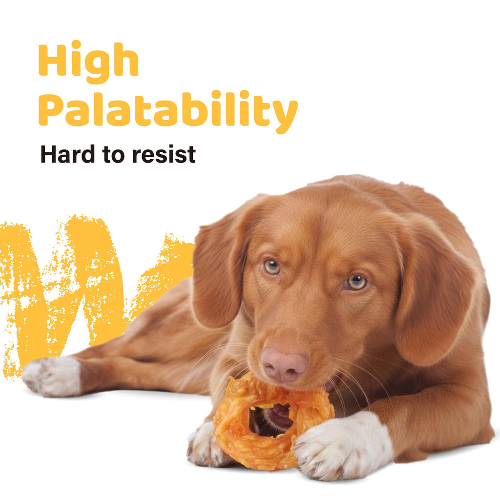 iPaw 10 Pcs Value Pack Turkey Tendons for Dogs, Single Protein, Hypoallergenic, All Natural Human Grade Puppy Chew, Rawhide Alternative Dog Treats, Ring (Small)