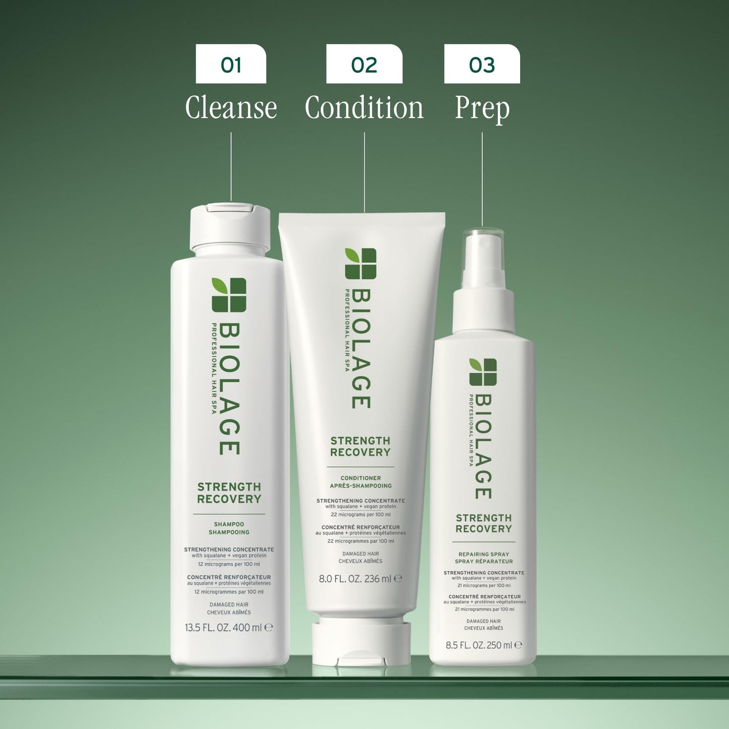 Dim Gray Biolage Strength Recovery Repairing Spray - Leave-In Treatment, Strengthens & Repairs Damaged Hair, Heat Protectant, Detangling Leave-In Treatment, With Olive Squalane & Vegan Proteins, 1 Fl Oz