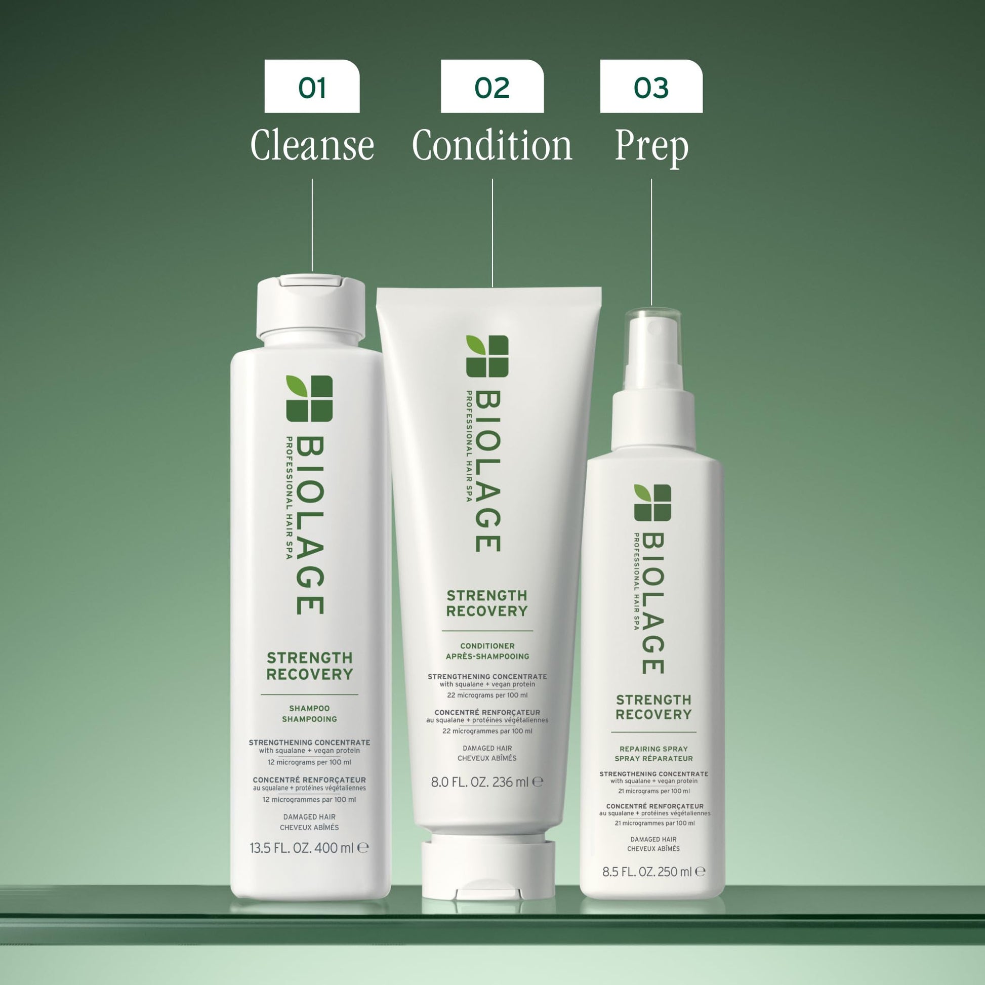 Dim Gray Biolage Strength Recovery Repairing Spray - Leave-In Treatment, Strengthens & Repairs Damaged Hair, Heat Protectant, Detangling Leave-In Treatment, With Olive Squalane & Vegan Proteins, 1 Fl Oz