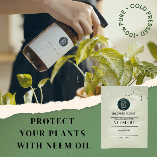 100% Cold Pressed Neem Oil Spray Refill for Indoor and Outdoor Garden Plants, Makes 80 fl oz | The Green Alcove…