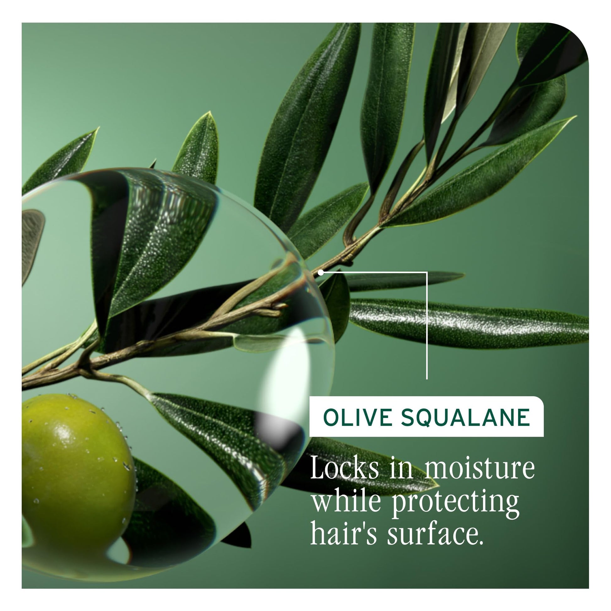 Dark Olive Green Biolage Strength Recovery Deep Treatment - Instantly Nourishes & Protects, Fortifies Strands, Reduces Breakage, With Olive Squalane & Proteins, Vegan, Paraben-Free