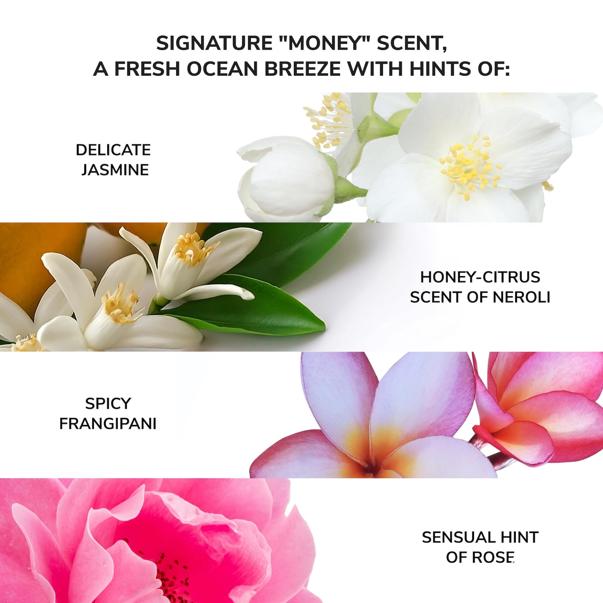White Smoke COLOR WOW Money Laundering Hydrating Shampoo, Sulfate-Free Hydrating Shampoo for Silky, Smooth Hair & Clean Scalp, 8.4 fl oz
