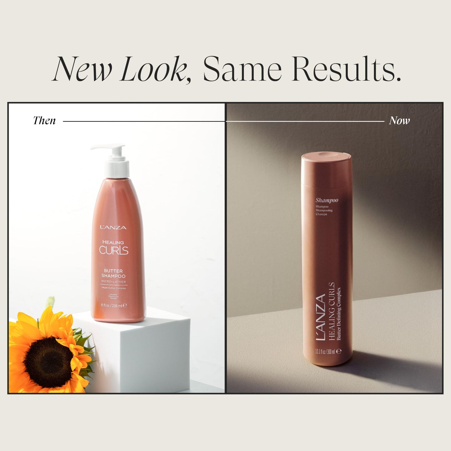 L'ANZA Healing Curls Butter Shampoo - Curly Hair Shampoo for a Creamy, Color-Safe Cleanse and Refreshed Curls - Paraben and Sulphate Free Shampoo (8 Fl Oz)