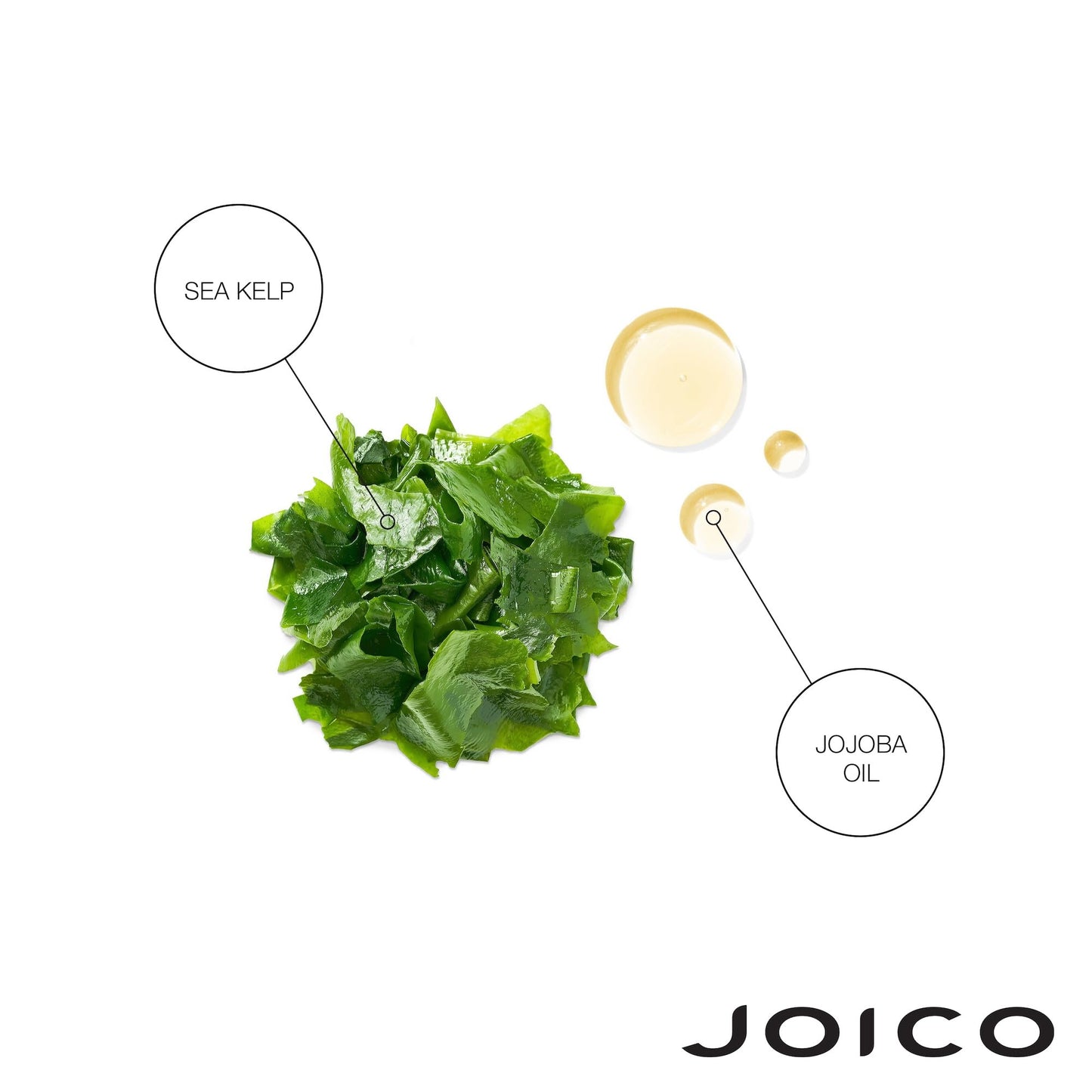 Joico 保湿修护洗发水和护发素 | 适用于浓密、粗糙、干燥的头发 | 恢复水分、柔顺、强韧和弹性 | 减少断裂 | 蕴含荷荷巴油和乳木果油