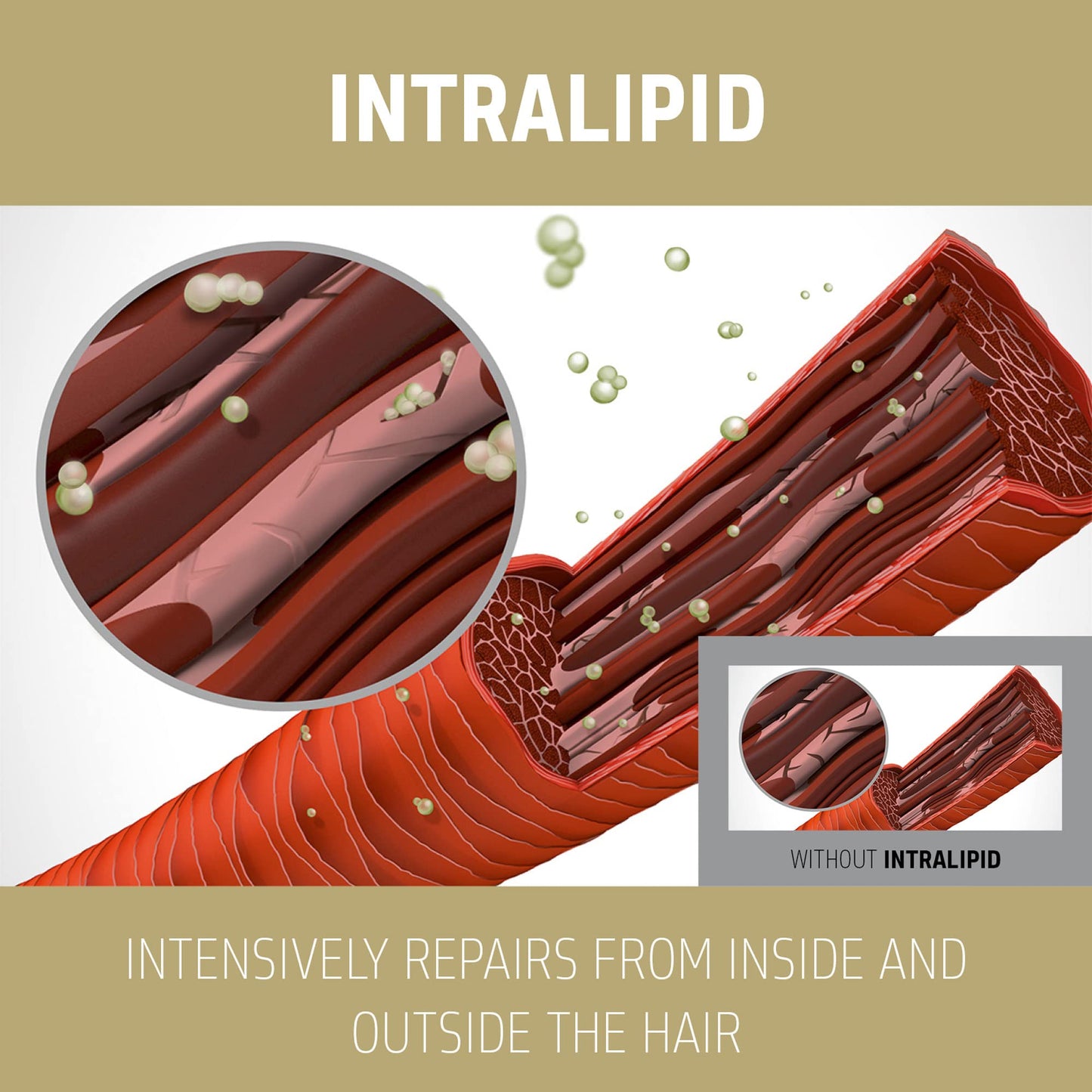 Goldwell Dualsenses 滋润修复护发素 1L