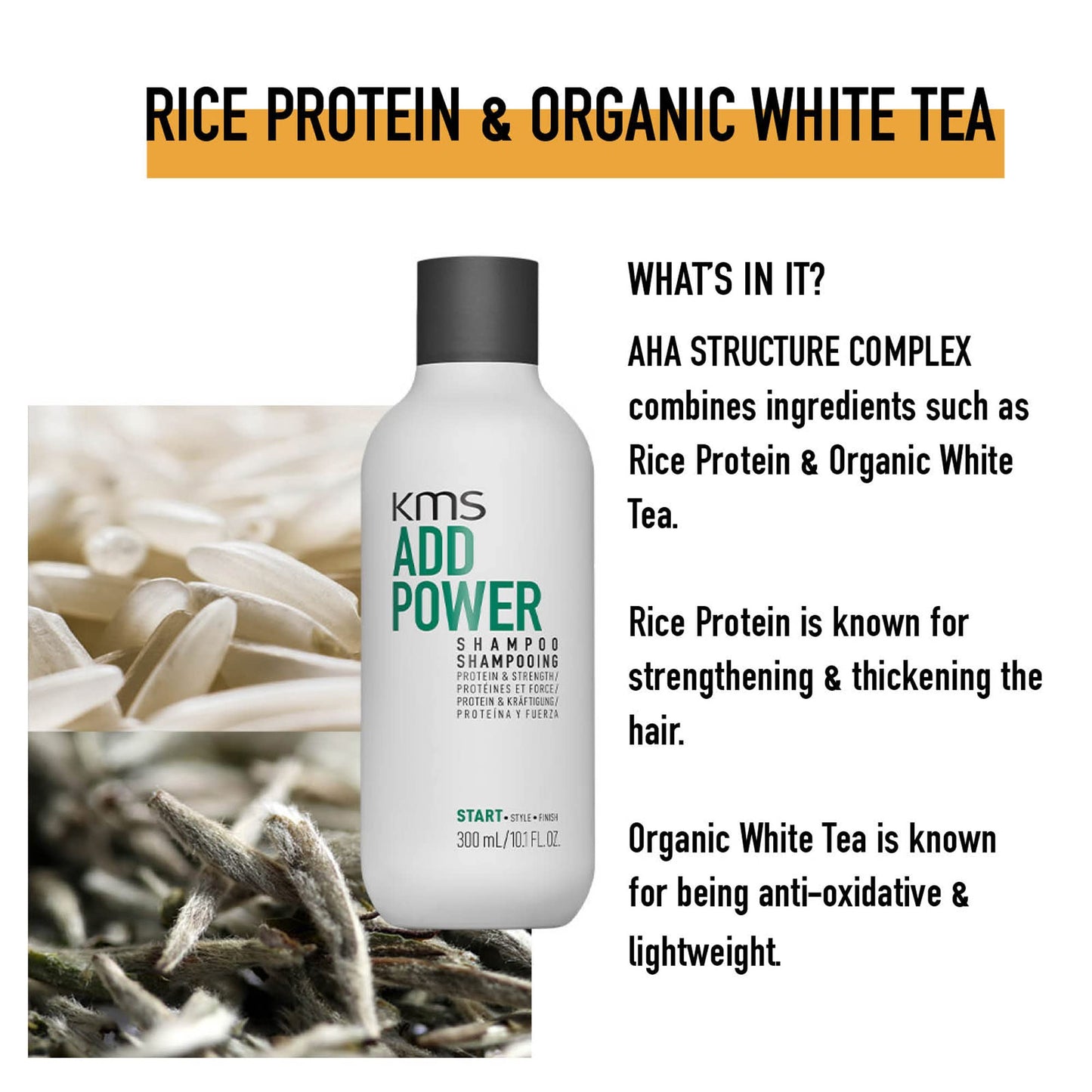 Shampooing KMS ADDPOWER pour cheveux fins et fragiles, 10,14 fl. oz.