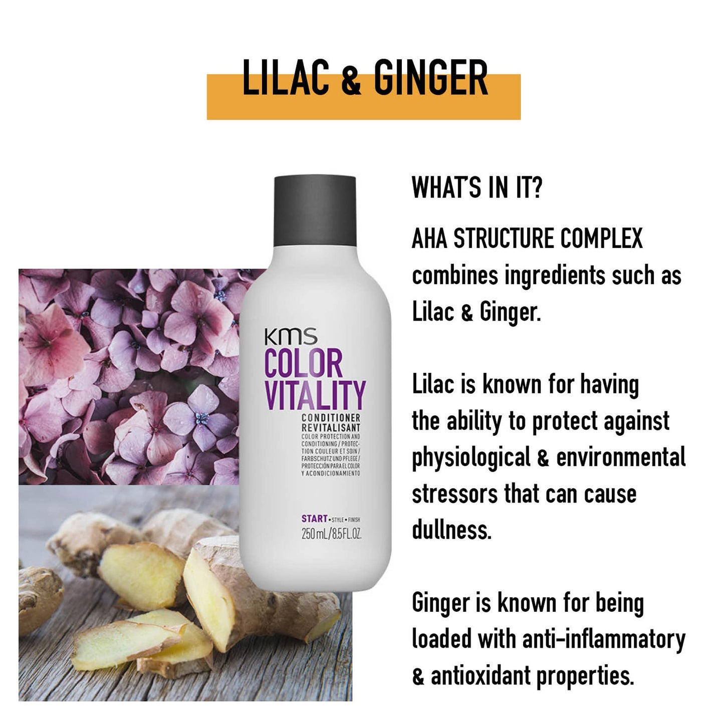 Après-shampoing KMS COLORVITALITY, 8,5 onces (paquet de 1)