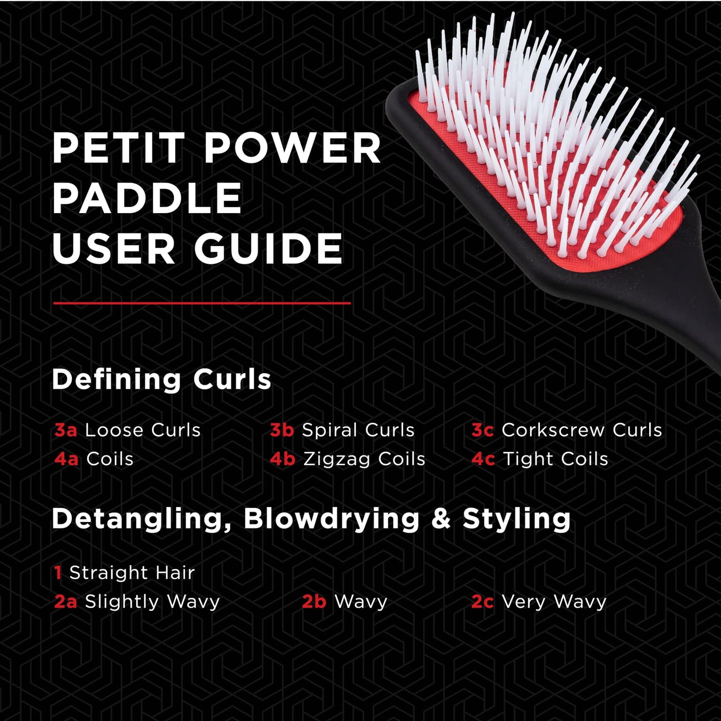 Denman Petite Detangler pour un démêlage et un brushing rapides et confortables D38 - Combinaison de picots de coiffage D3 et d'une brosse plate (noire)